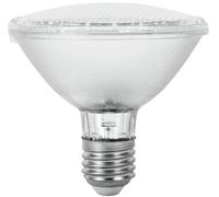OMNILUX PAR-30 230V SMD 10W E-27 62 LEDs UV - Lampes PAR30