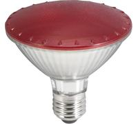OMNILUX PAR-30 230V SMD 11W E-27 LED rouge - Lampes LED socle E27