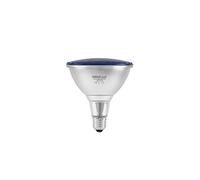 OMNILUX PAR-38 230V SMD 15W E-27 LED bleue - Lampes PAR38