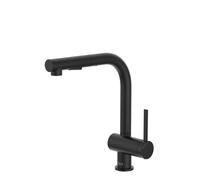 Ona Mitigeur Évier Bec Tube Mobile Douchette Extractible Noir Mat - ROCA A5A851FNB0