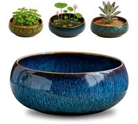 Oncpcare Lotus Bowl Planter - Pot de fleurs d'eau en céramique Sacré Bonsaï Bol Fleur de lotus, vase peu profond émaillé pour graines de lotus, bonsaï, plantes succulentes, plantes hydroponiques (bleu
