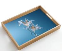 OnlyWow© Plateau Repas Bois Rectangulaire 50x35 cm Plateaux Service Table Dejeuner Cafe Résistant à La Chaleur Chene Poignée Déjeuner Lys - Bleu - Verres