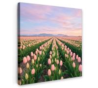 OnlyWow© Tableau De Jardin 50x50 cm Original Mur Decoration Balcon Murale Peinture Tableaux Terrasse Impression Art Mural Deco Décoratif Muraux Tulipes - Paysage - Rose