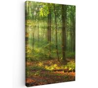 OnlyWow© Tableau De Jardin 80x120 cm Impressions Toiles Reproductions Décoration Moderne sur Mural Decoratifs Photo Soleil - Forêt - Arbres - Nature - Automne