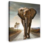OnlyWow© Toile Extérieur 100x100 cm Original Mur Tableau Decoration Murale Peinture Tableaux Impression Art Mural Deco Décoratif Muraux Éléphant - Route - Animaux - Coucher de Soleil - Paysage