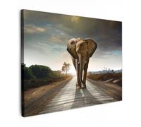 OnlyWow© Toile Extérieur 100x70 cm Original Mur Tableau Decoration Murale Peinture Tableaux Impression Art Mural Deco Décoratif Muraux Éléphant - Route - Animaux - Coucher de Soleil - Paysage