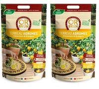 OR BRUN Terreau Agrumes 4L Améliore La Croissance Et La Fructification OBRTCDAGR4 (Lot de 2)