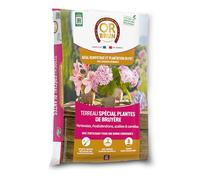 Terreau spécial plantes de bruyère - OR BRUN - OBRTBRU6U - 6L - Meilleur enracinement