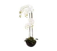 Atmosphera - Orchidée Artificielle - Pot céramique H115 cm