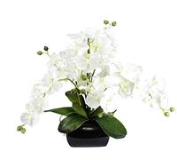 Orchidée artificielle, 40 x 36 x 36 cm, avec feuilles et racines aériennes, dans un bol en céramique, orchidée artificielle, Phalaenopsis avec cache-pot, plante artificielle, décoration de mariage,