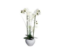Orchidée artificielle avec vase en céramique blanc - H. 53 cm