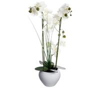 Orchidée artificielle avec vase en céramique blanc - H. 53 cm