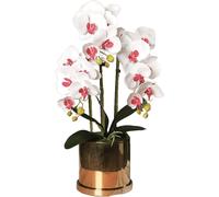 Orchidée artificielle avec vase - Fleurs en plastique - Décoration pour salon - Design artisanal - Hauteur : 56 cm - Blanc