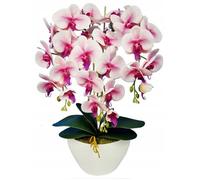 Orchidée artificielle - Blanc-rose - 3 tiges de 53 cm