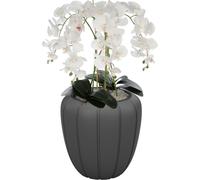 Orchidée artificielle blanche en pot bouquet de fleurs H 90 cm pot Anthracite