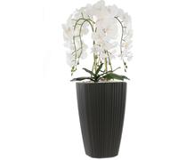 Orchidée artificielle blanche en pot bouquet de fleurs H 95 cm pot carré anthracite