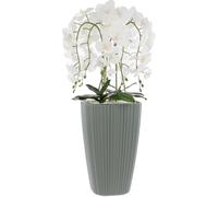 Orchidée artificielle blanche en pot bouquet de fleurs H 95 cm pot carré gris
