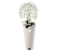 Orchidée artificielle - BOTLE - H 110 cm - Fleurs blanches - Pot en plastique - Entretien facile