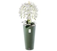 Orchidée artificielle - BOTLE - H 110 cm - Fleurs blanches - Pot haut - Aucun entretien nécessaire