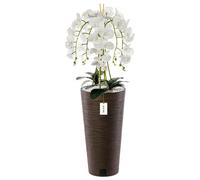 Orchidée artificielle - BOTLE - H 110 cm - Fleurs blanches - Pot haut marron foncé - Design contemporain