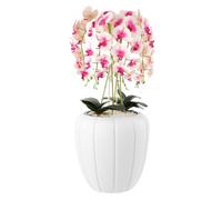 Orchidée artificielle - BOTLE - H 90 cm - Crème et rose - Pot blanc - Fleurs réalistes