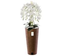 Orchidée artificielle bouquet de fleurs blanches feuilles galets haut pot Marron H 110 cm
