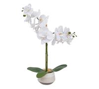 Orchidée artificielle ""Clera"" H52cm blanc - Atmosphera Créateur d'intérieur