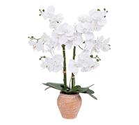 Atmosphera – Orchidée artificielle en pot Dena H65 cm rose terracotta