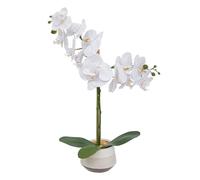 Atmosphera - Orchidée Artificielle clera h52cm Blanc