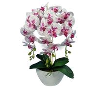 Damich Orchidée artificielle en pot décoration orchidée artificielle 3 branches fleuries hauteur environ 60 cm (blanc/rouge)