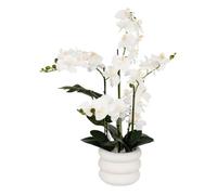 Orchidée artificielle en pot ""Mick"" pot en céramique blanc H80cm - Atmosphera Créateur d'intérieur