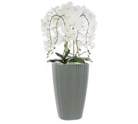 Orchidée artificielle - Luxe - H 95 cm - Pot carré gris - Entretien minimal - Design moderne