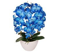 Orchidée artificielle Damich, en caoutchouc, pot blanc, 3pgnb