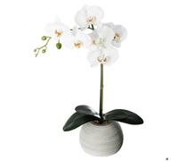 Orchidée artificielle pot ciment H53cm - Atmosphera Créateur d'intérieur