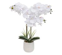Atmosphera Orchidée artificielle Riva H60cm en pot blanc