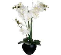 Orchidée Artificielle - SILUMEN - H53cm - Vase en Céramique Noir et Blanc