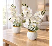 Orchidée blanche artificielle réaliste dans un pot décoratif, faux | Arrangement floral Phalaenopsis avec tiges, 21 x 35 cm, plante artificielle à faible entretien pour salon, chambre et entrée