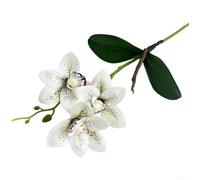 Orchidée cymbidium réaliste de 39 cm avec base stable, tige de fleur en silicone souple pour décoration d'intérieur, mariage, centre de table, hôtel, fête, photographie (blanc)