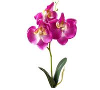 Orchidée, Orchidée 11 Orchidées en Soie Fleurs Artificielles Faciles à Entretenir Faux Real Touch Résistant à la Décoloration Faux Phalaenopsis Convient pour la Décoration de Bureau Domicile Vase D