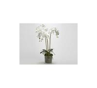 Orchidée Phalae Diva blanc 91 cm - - Blanc - Tissu