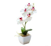 Orchidée phalaenopsis artificielle à 5 fleurs dans un pot fini pour la maison, le bureau ou la vente au détail (blanc)