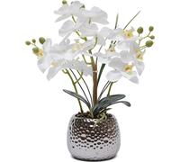 Orchidée Phalaenopsis artificielle - Plante en pot - Réaliste, pot en céramique, facile d'entretien, intérieur, décoration de table, cadeau de bienvenue - Blanc