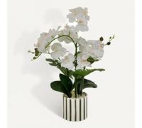 Fleur Artificielle Asia Orchidée H81 cm Pot en Grès Vert - Atmosphera Créateur d'intérieur