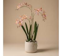 Orchidée Renanthera artificielle de 56cm en pot - plante artificielle à fleurs
