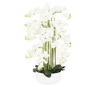 Orchidées artificielles 80cm