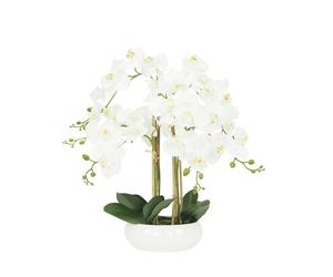 Orchidées artificielles - LIGNE DECO - Phalaenopsis - 35 fleurs - 6 hampes florales - 18 boutons