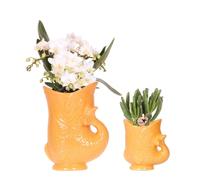 Orchidées colibri : lot composé d'une orchidée blanche Nazaré et d'une plante succulente dans un pot décoratif orange de 9 cm et 6 cm