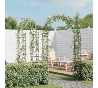 Ordellia Arche de Jardin 2 pcs pour Plantes grimpantes en Fer Vert foncé Structure Support Robuste pour Roses vignes glycine Lierre Passage entrée terrasse Patio extérieur