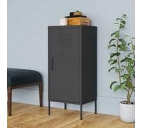 Ordellia Armoire de Rangement Anthracite en Acier 42,5 x 35 x 101,5 cm, 2 étagères réglables, casier Meuble Placard pour Livres et Outils, avec niveleurs de Sol