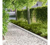 Ordellia Bordure de Pelouse 30 pièces 103 x 10 cm en acier blanc résistante aux intempéries pour délimitation de jardin, création de chemins ou séparation de pelouse, design flexible durable